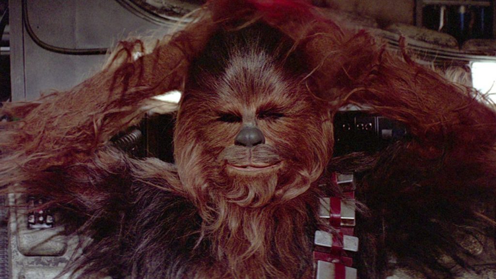 Chewie looking smug.