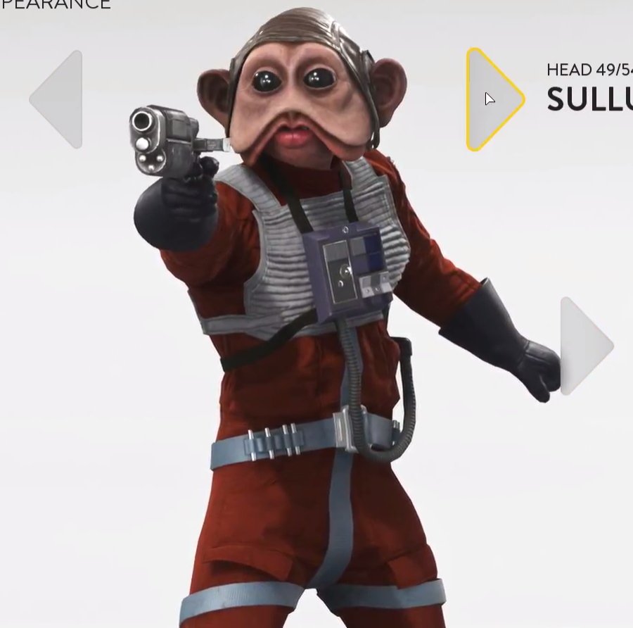 sullustant_pilot