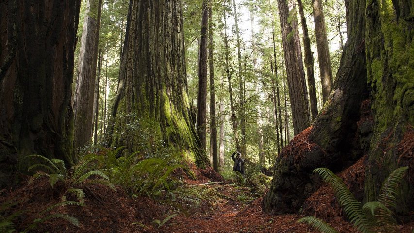 A DICE employee on location in California.